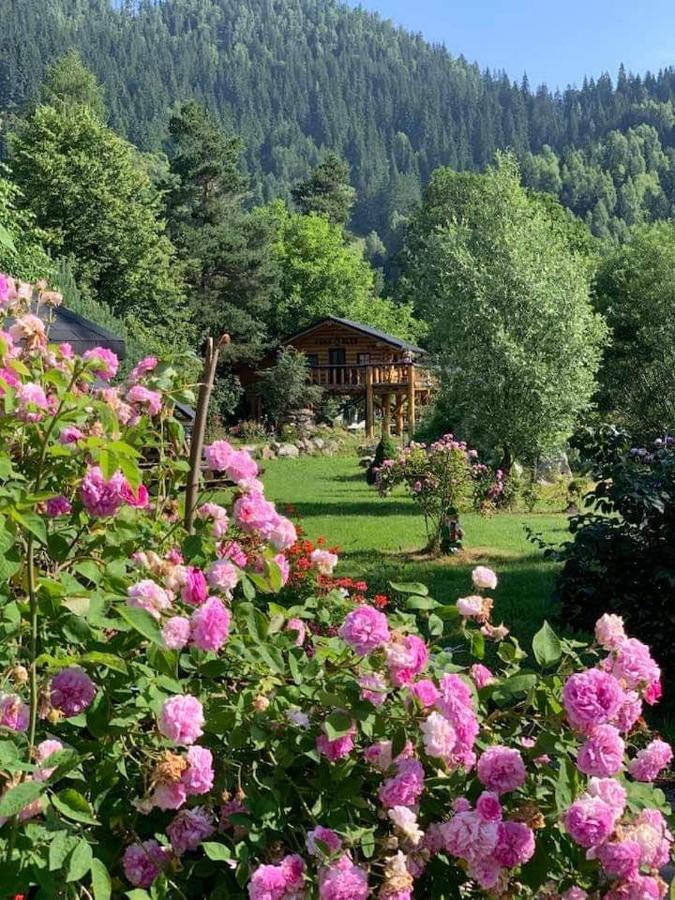 Hotel Casa Baciu Fundu Moldovei Esterno foto