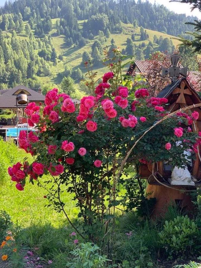 Hotel Casa Baciu Fundu Moldovei Esterno foto